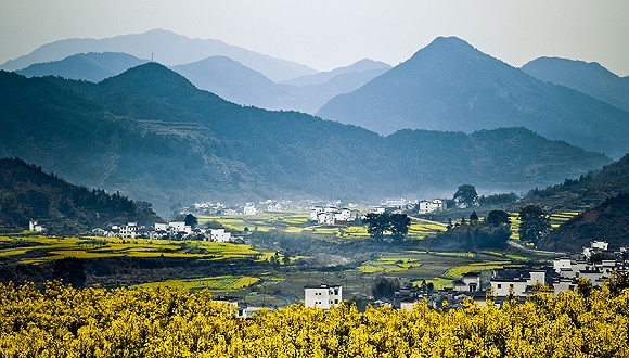 江西暖意盎然的日常画卷