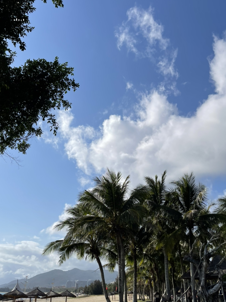 海南阳光沙滩浪漫之旅🌴🌊🌟