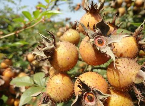 贵州小城,感受贵州的温暖日常