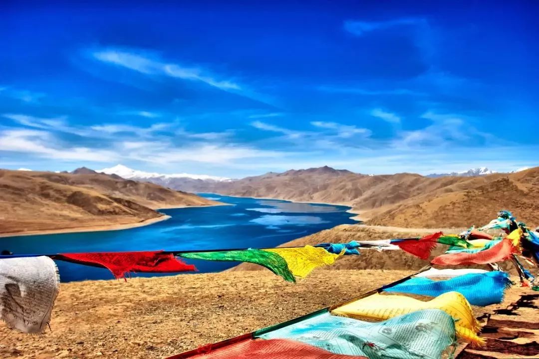 高原科技新纪元，西藏智能生活伴侣引领探索之旅