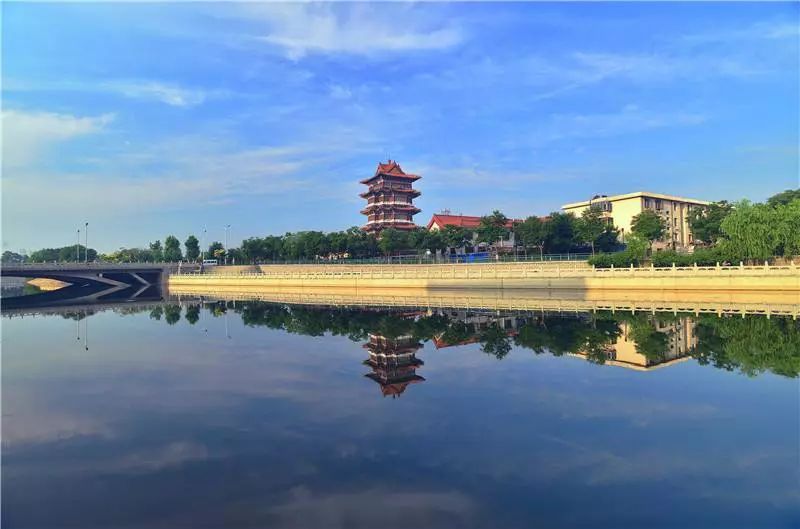 沧州之光,学习变化的力量与自信的旅程探索